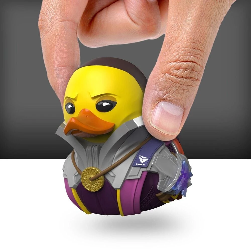 Numskull Destiny Tubbz Mini Works