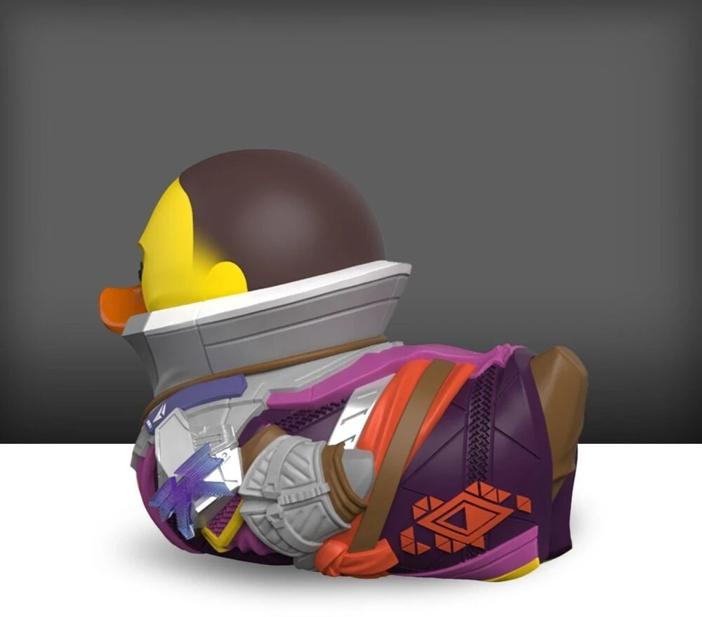 Numskull Destiny Tubbz Mini Works