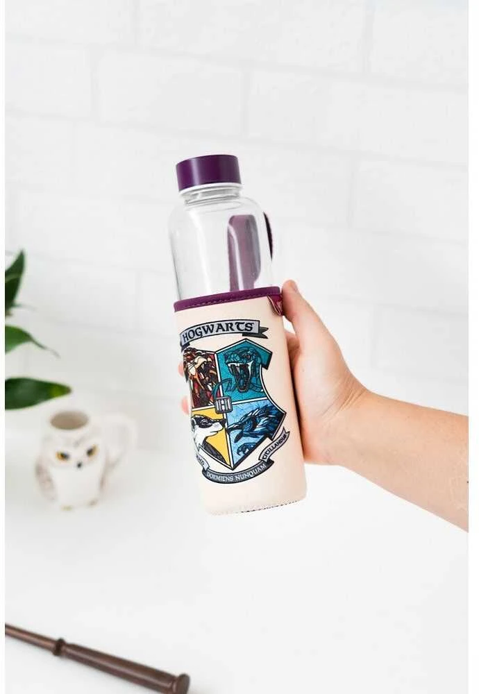 Harry Potter Haris Poteris - 500 ml stiklinis vandens butelis (Hogvartsas)