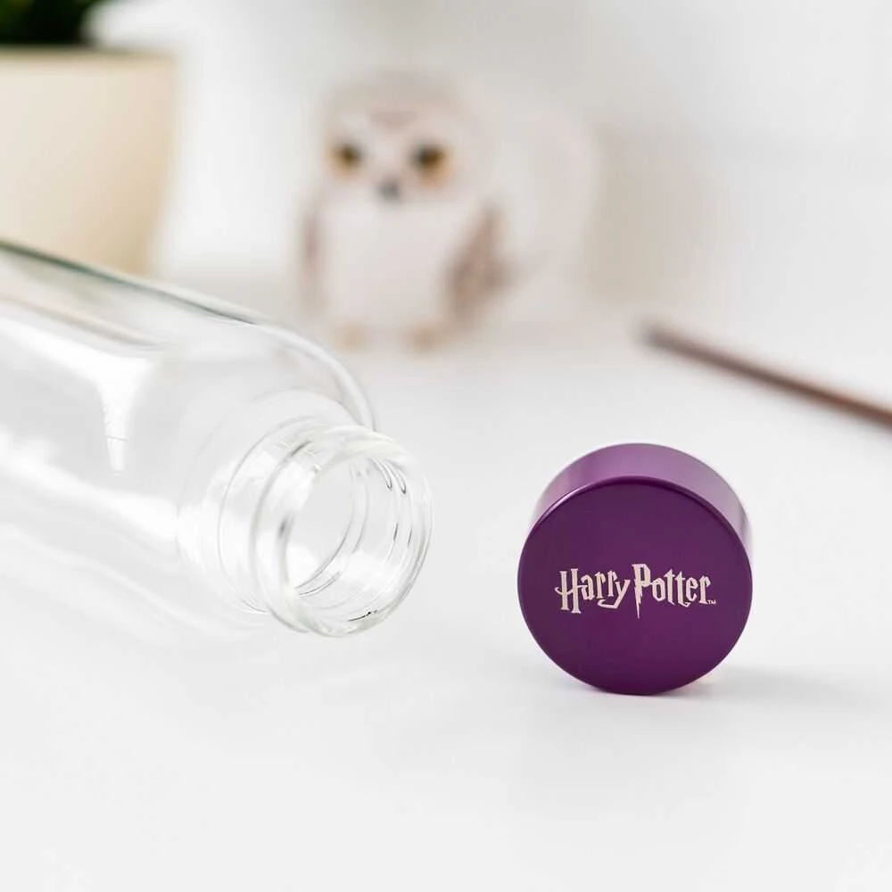 Harry Potter Haris Poteris - 500 ml stiklinis vandens butelis (Hogvartsas)