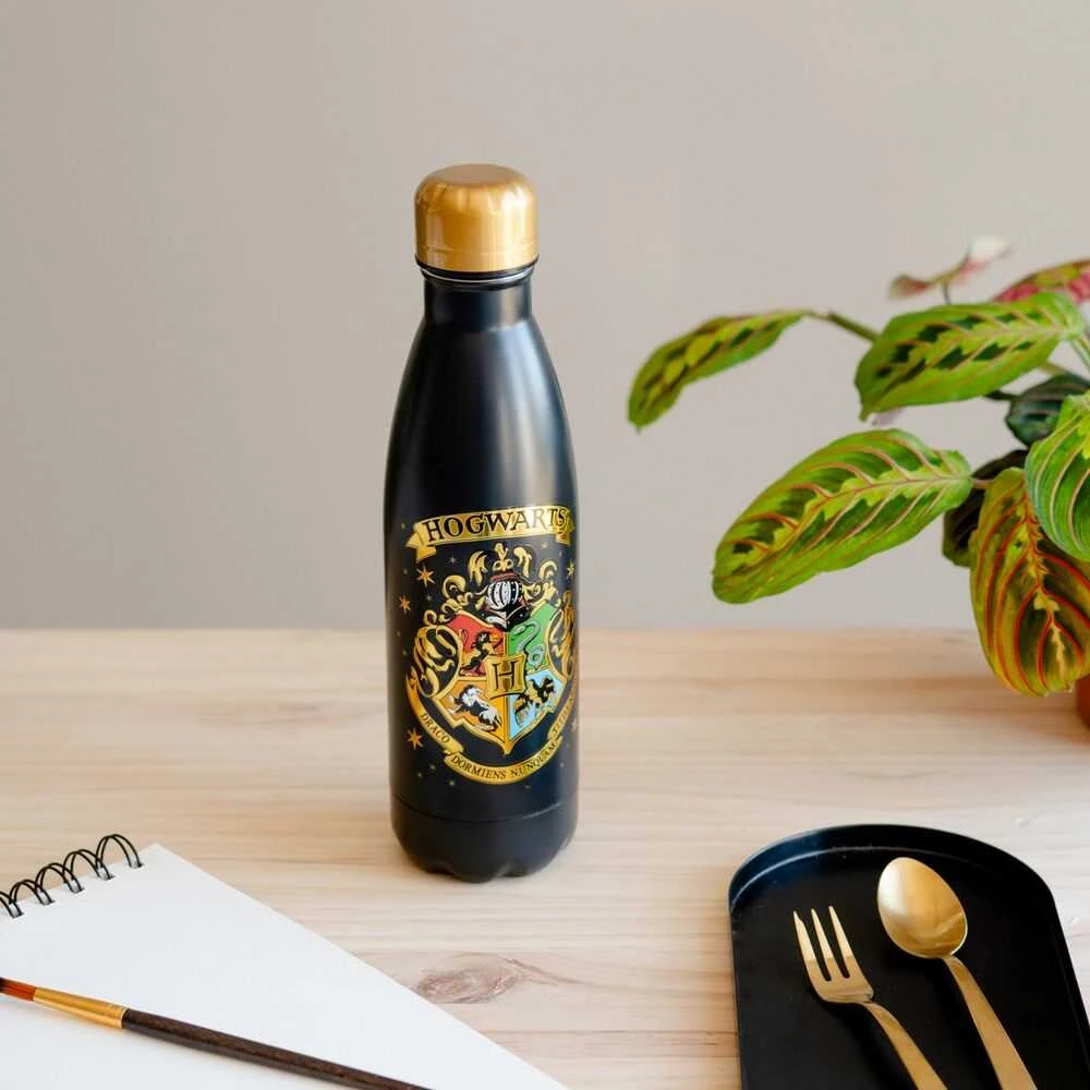 Nerūdijančio plieno gertuvė ERIK Harry Potter Hogwarts, 500 ml