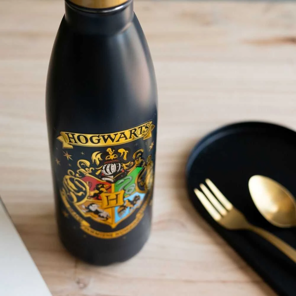 Nerūdijančio plieno gertuvė ERIK Harry Potter Hogwarts, 500 ml