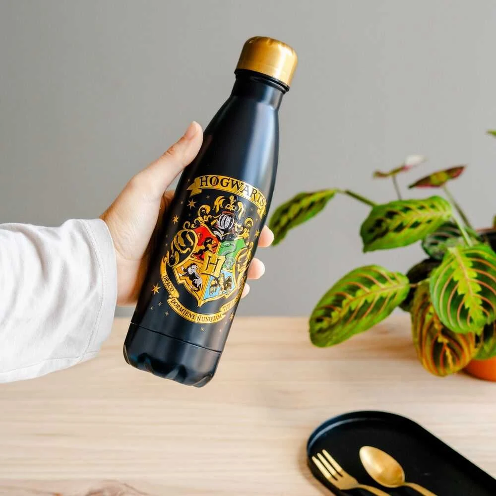 Nerūdijančio plieno gertuvė ERIK Harry Potter Hogwarts, 500 ml