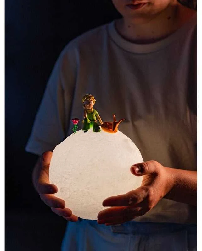 ERIK The Little Prince 3D lamp