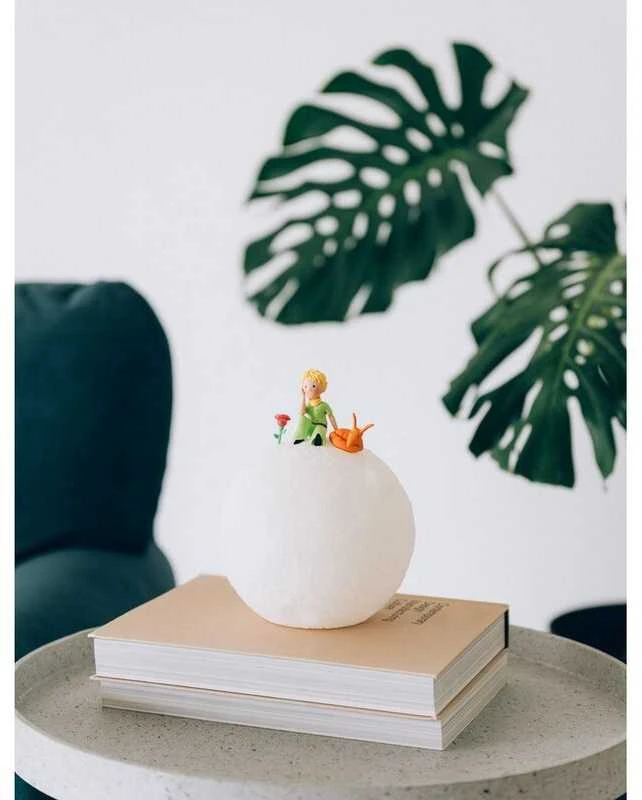 ERIK The Little Prince 3D lamp