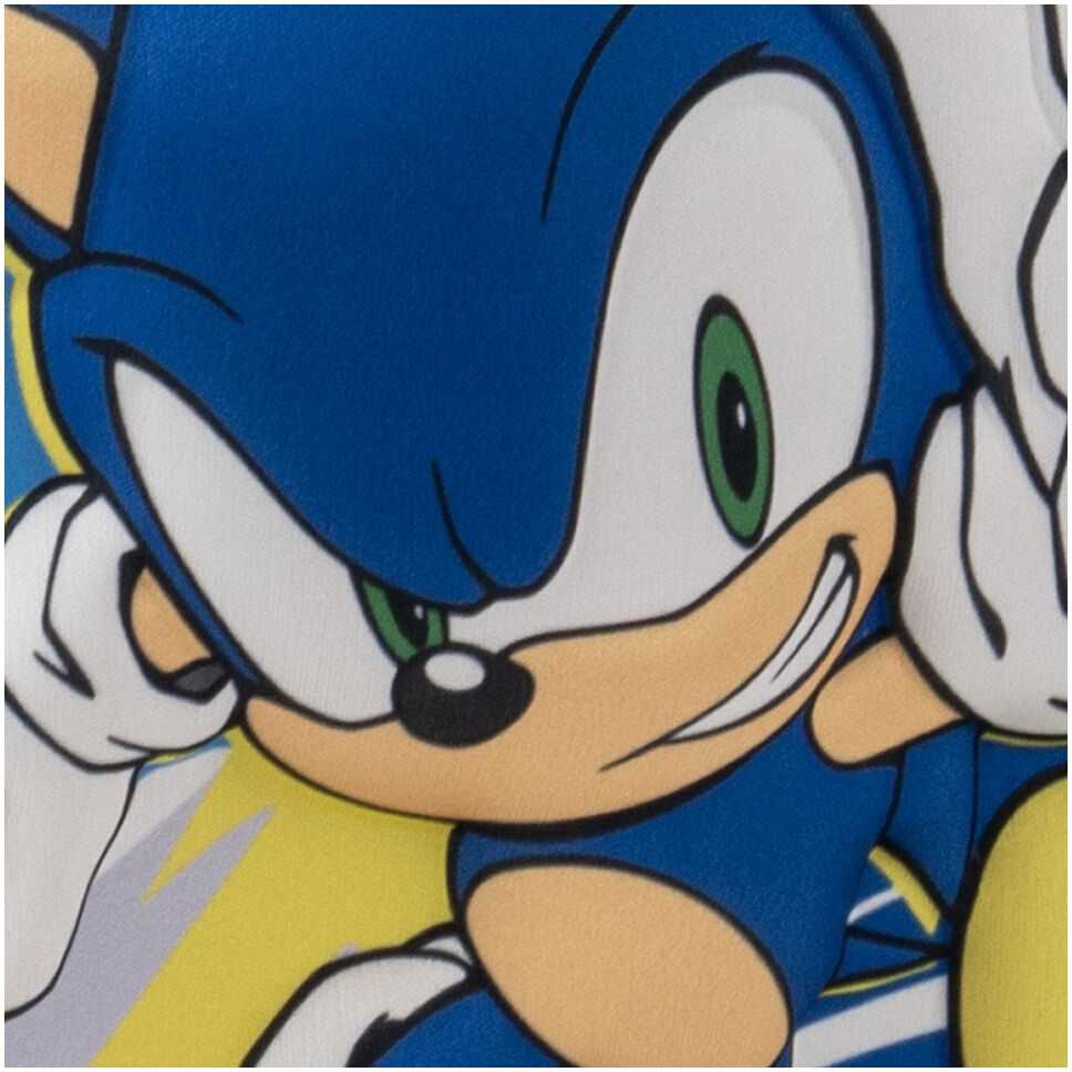 CERDÁ Sonic the Hedgehog 3D lunch bag