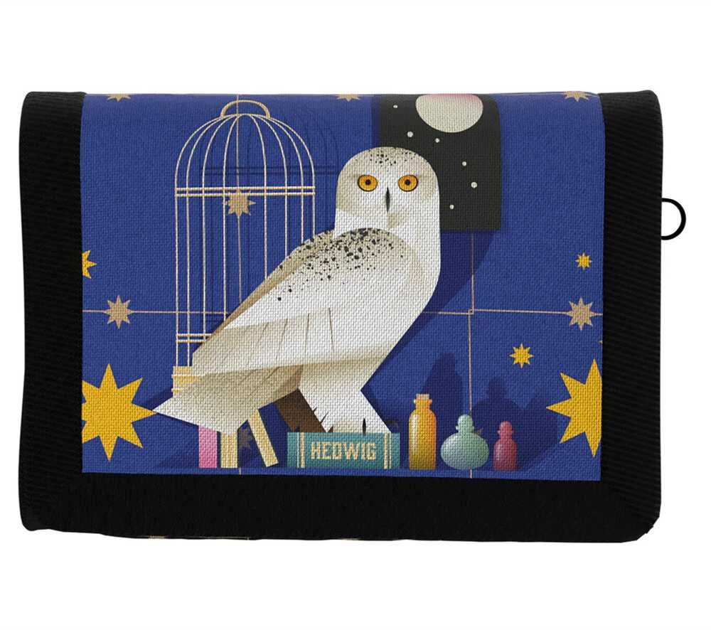 Cyp Brands Harry Potter pack wallet + keychain