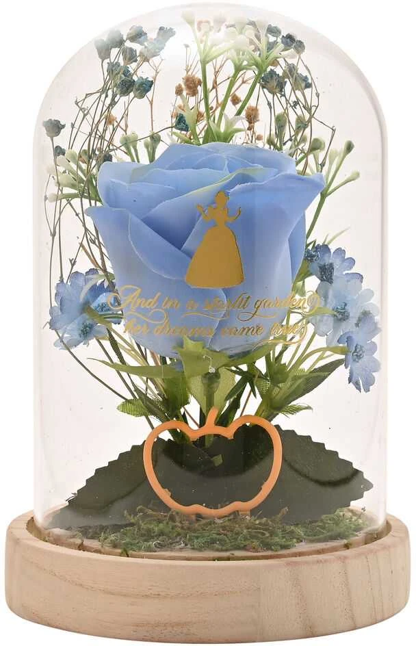 Widdop Co Disney Princess Cinderella florals in a clonche with neon light