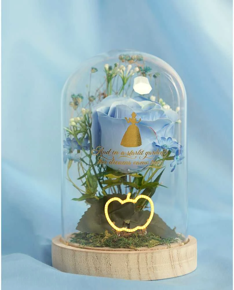Widdop Co Disney Princess Cinderella florals in a clonche with neon light