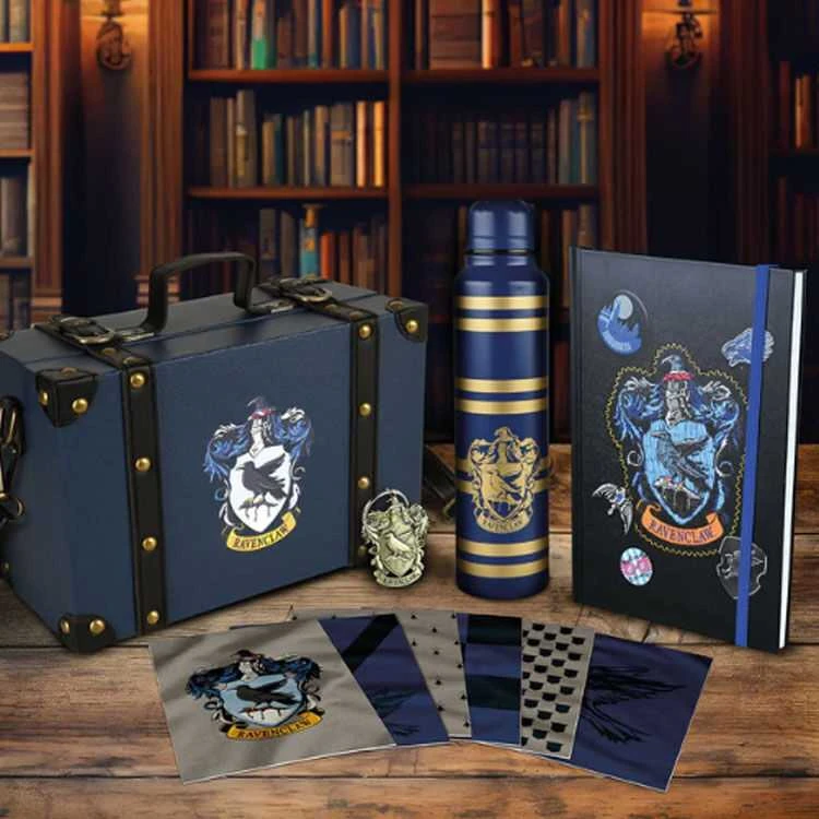 Pyramid HARIS POTERIS (SPALVINGAS HERBAS VARNO NAGAS) PREMIUM DOVANŲ RINKINYS