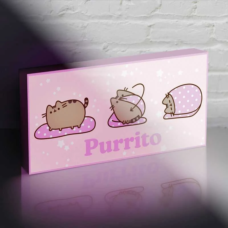 Pyramid Pusheen light up canvas