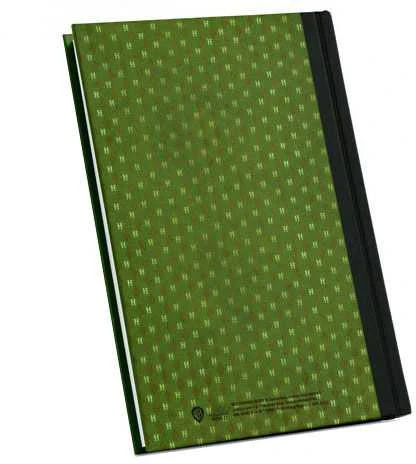 Sd Toys Harry Potter Slytherin premium notebook