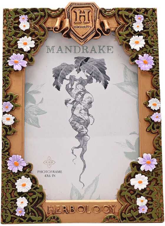 Nuotraukų rėmelis Widdop Co Harry Potter Herbology photo frame