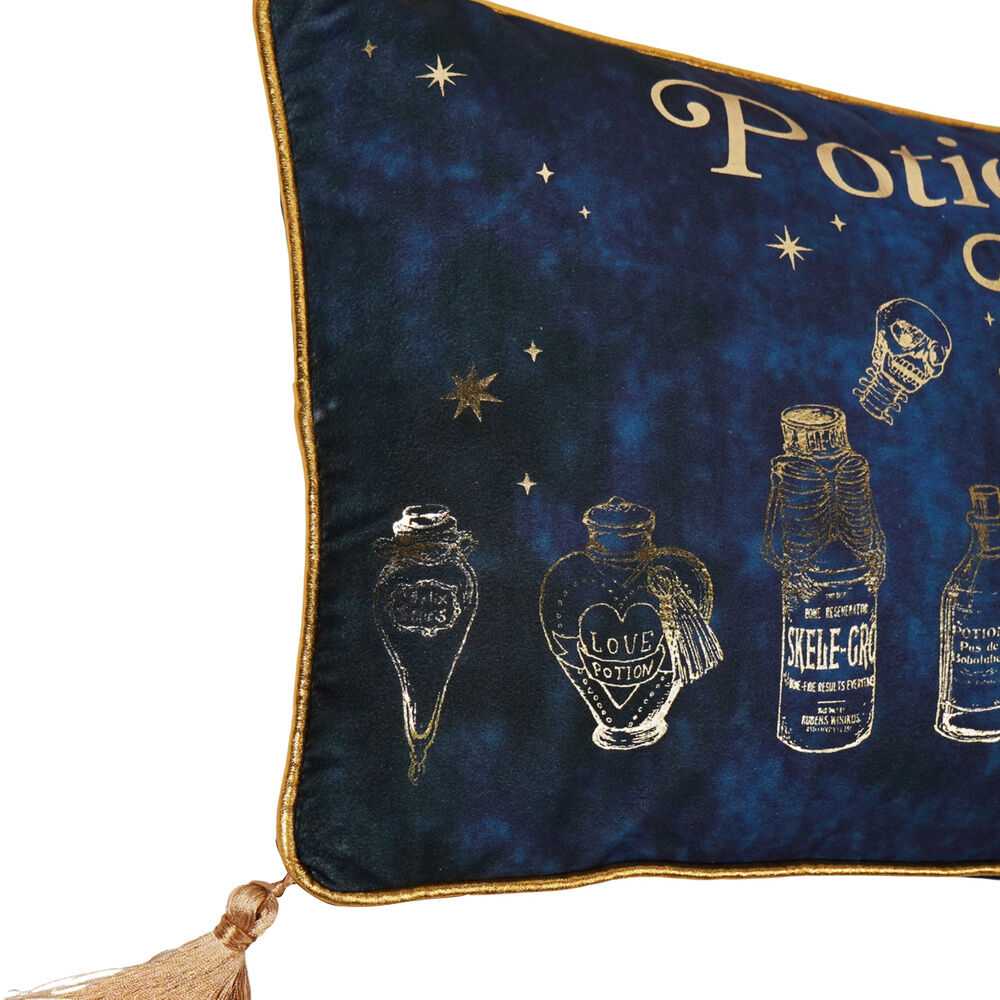 Widdop Co Harry Potter Potions Class velvet cushion