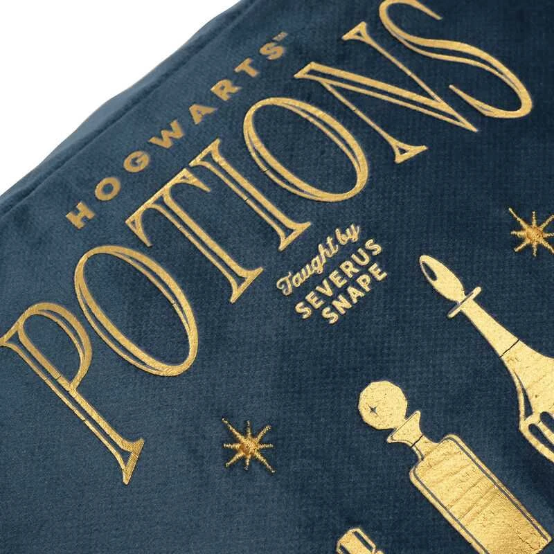 Widdop Co Harry Potter Potions wash bag