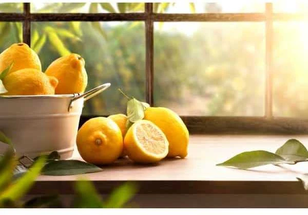 Hagleitner Aliejinis oro gaiviklis toiletOIL YUZU, Hagleinter