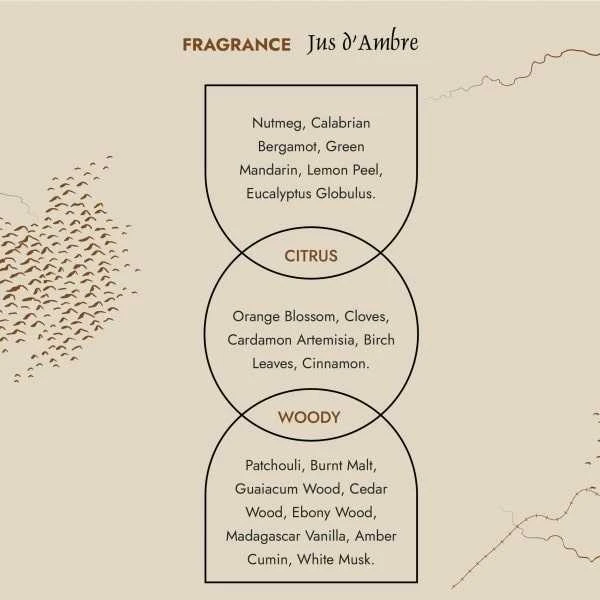 Prija Jus d’Ambre tualetinis vanduo, 50 ml