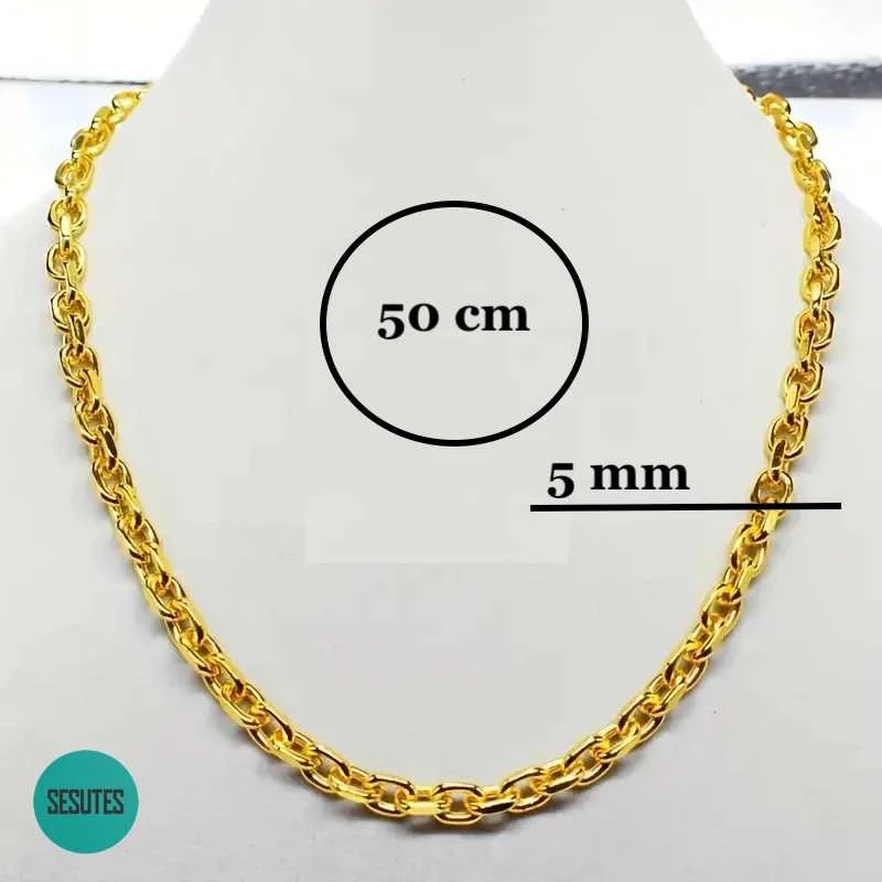 Titano plieno grandinėlė, 5 mm pločio, 50 ​​cm ilgio
