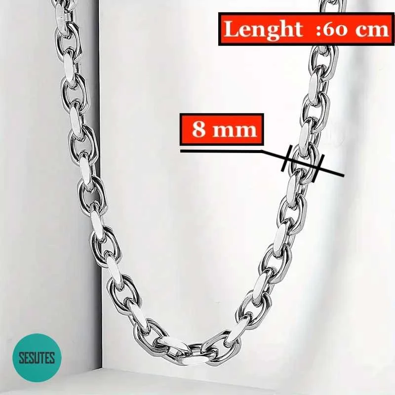 Titano plieno grandinėlė , 8 mm pločio, 60 ​​cm ilgio