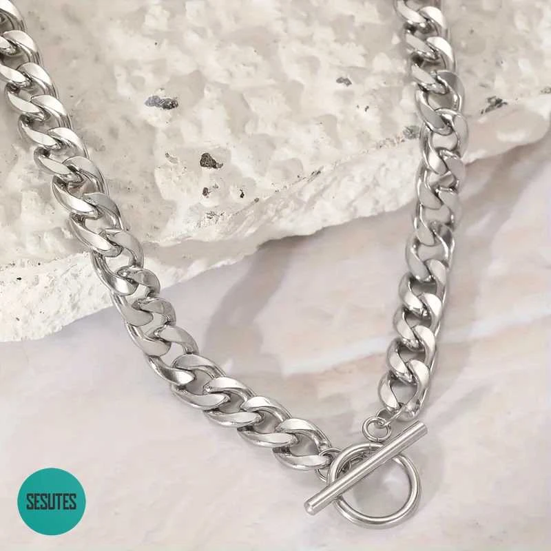 Titano plieno grandinėlė , TT , 6 mm pločio, 56 ​​cm ilgio