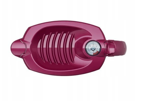 Aquaphor Amethyst Cherry, 10 vnt.