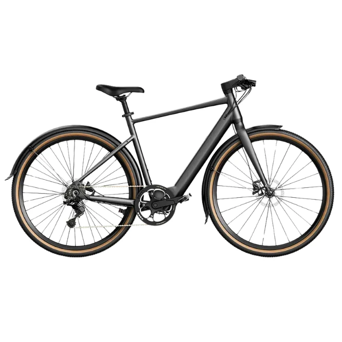 FIIDO C21 E-GRAVEL elektrinis dviratis (28"), l