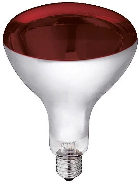 Lemputė 250 W raudona 22245