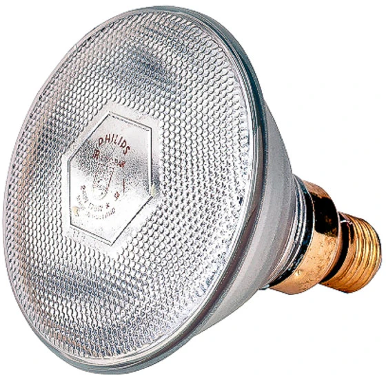 Lemputė Philips 175W balta 22309