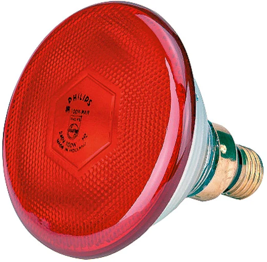 Lemputė Philips 175W raudona 22303