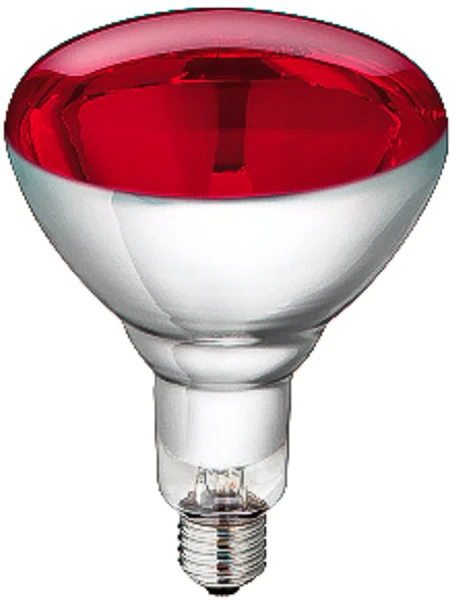 Lemputė Philips 250 W 22314