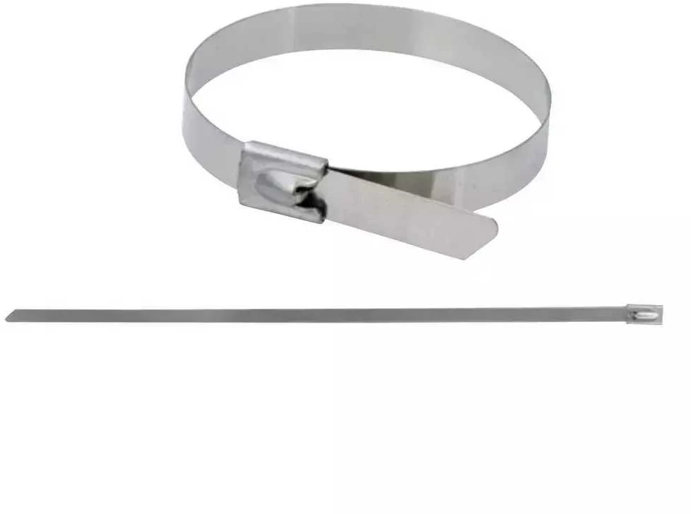 Dedra Nerudijanio plieno svaros 79x360mm SS304 5vnt