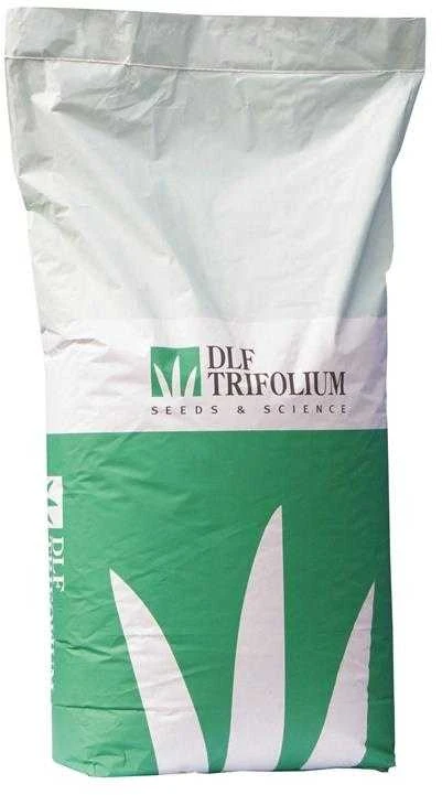 Vejų sėklos DLF Robustica, 20 kg