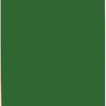 Helios Emaliniai dažai Color Enamel ŽALIA RAL 6001 3,5L 47861303