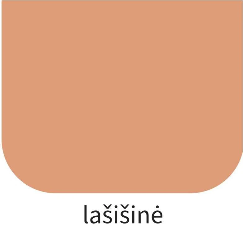Dažai RILAK PENTAPRIM lašišiniai 900 ml.