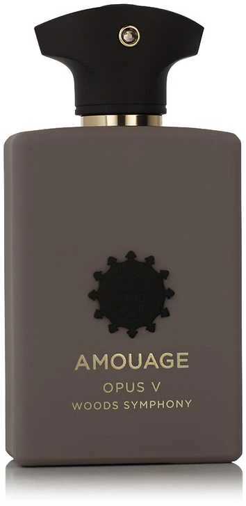 Amouage Opus V Woods Symphony EDP kvepalai vyrams, 100 ml
