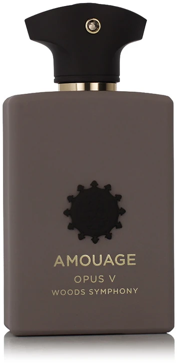 Amouage Opus V Woods Symphony EDP kvepalai vyrams, 100 ml