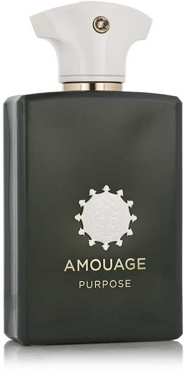 Amouage Purpose, 100 ml