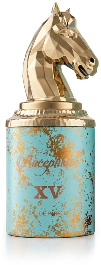 Armaf Bucephalus No. XV EDP parfumuotas vanduo vyrams, 100 ml