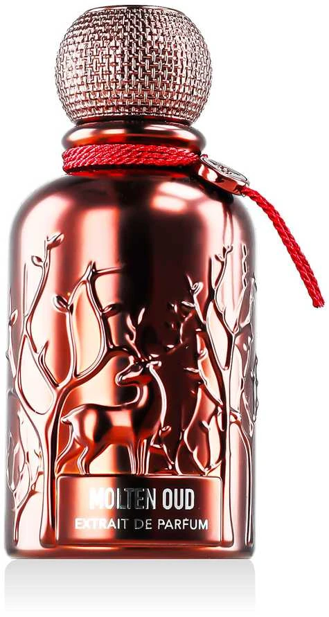 Auraa Desire Molten Oud PP kvepalai vyrams, 100 ml