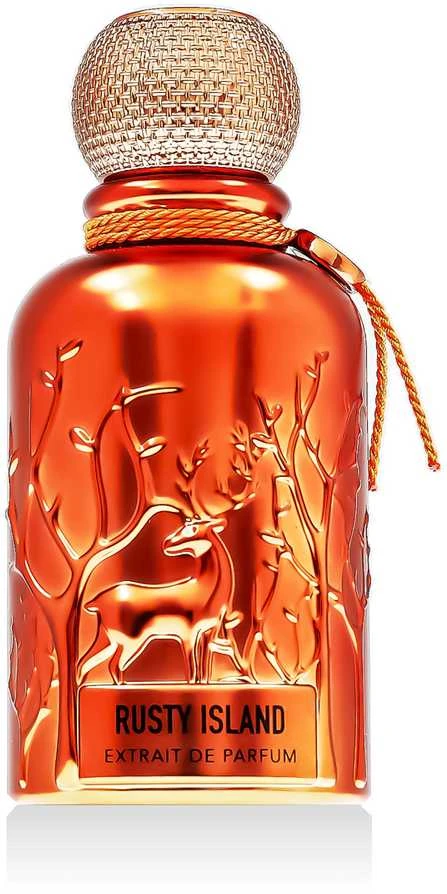 Auraa Desire Rusty Island PP kvepalai vyrams, 100 ml
