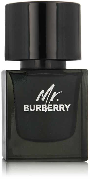 Mr Burberry EDP parfumuotas vanduo moterims, 50 ml