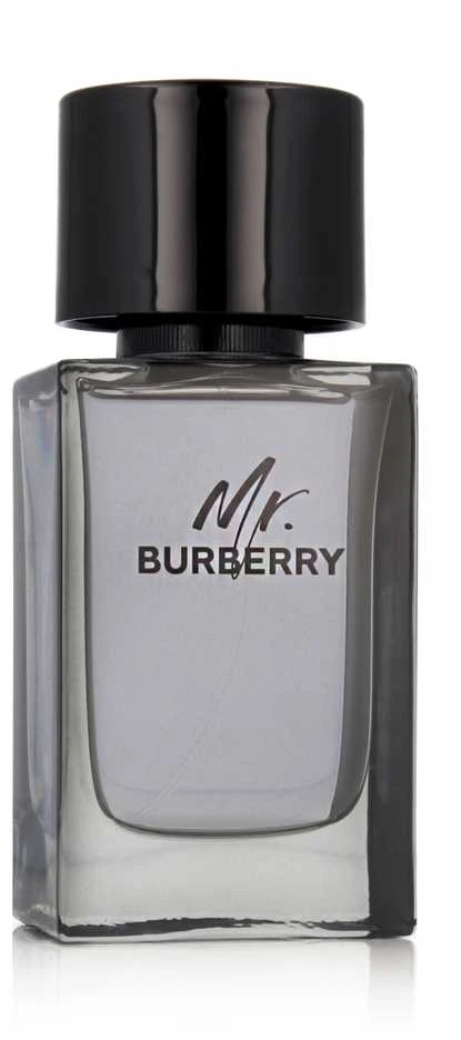 Mr Burberry EDT tualetinis vanduo unisex, 100 ml
