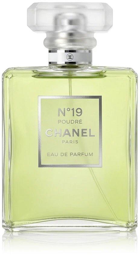 Chanel No 19 Poudre EDP parfumuotas vanduo moterims, 100 ml
