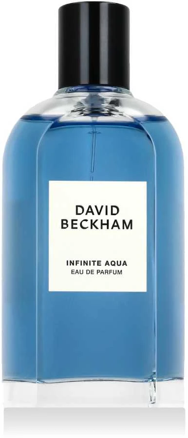 David Beckham Infinite Aqua EDT kvepalai, 100 ml