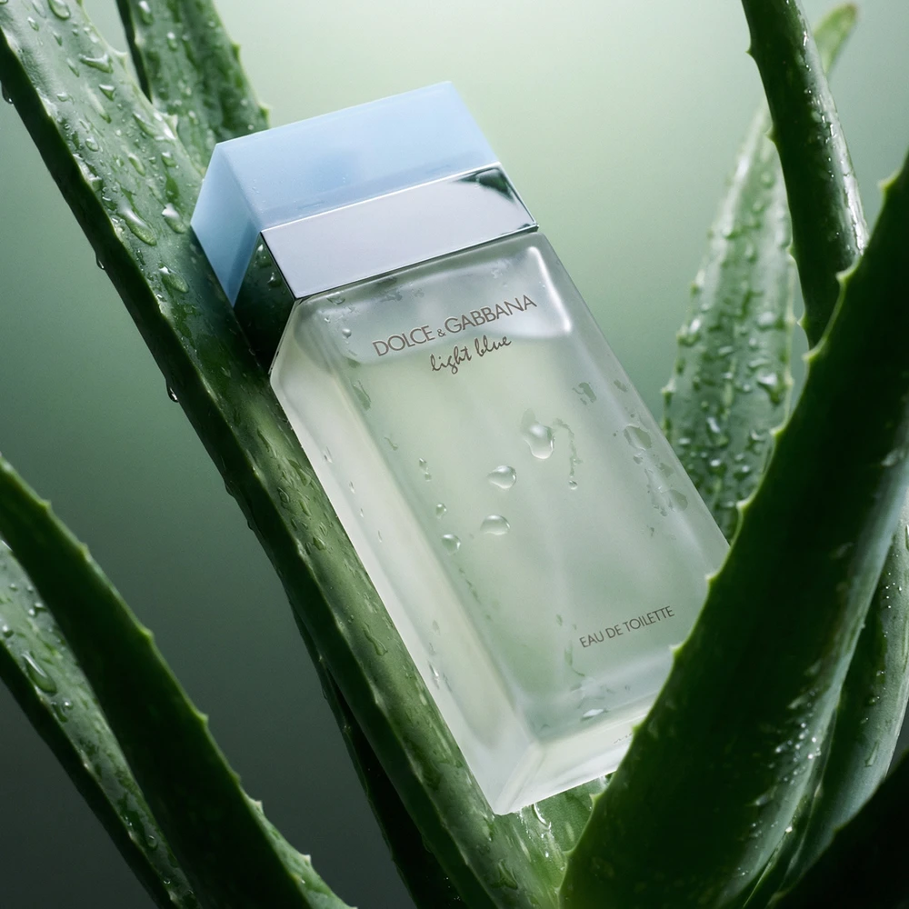Kvepalai moterims Dolce & Gabbana Light Blue EDT, 100 ml