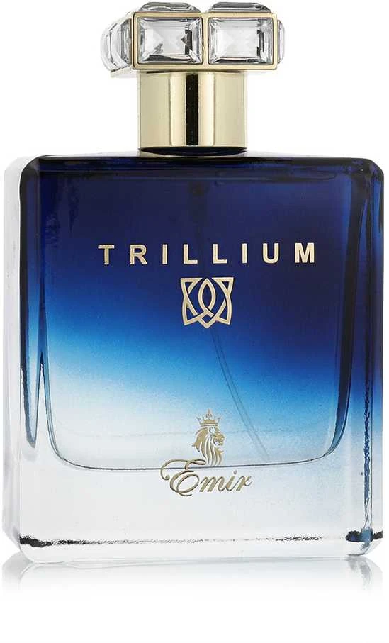 Emir Trillium EDP parfumuotas vanduo vyrams, 100 ml