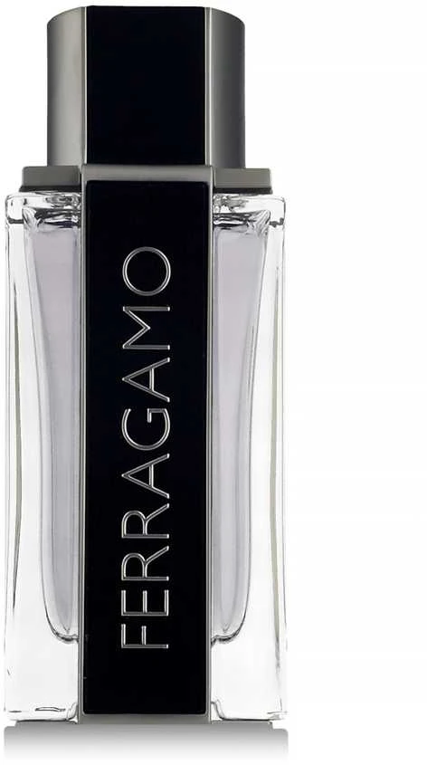 Kvepalai vyrams Ferragamo Ferragamo EDT, 100 ml