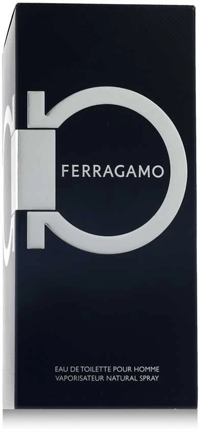 Kvepalai vyrams Ferragamo Ferragamo EDT, 100 ml