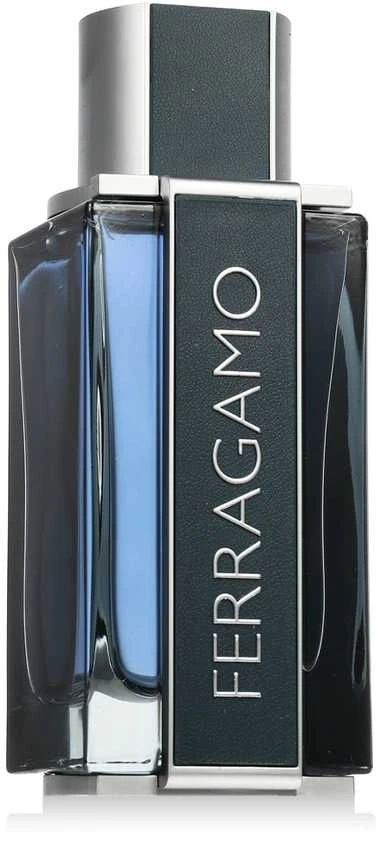 Salvatore Ferragamo Ferragamo Intense Leather EDP parfumuotas vanduo vyrams, 100 ml