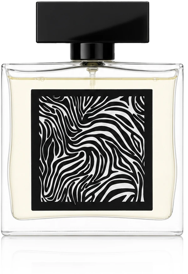 Fragrance World Encrypt Eau De Parfum 85 ml (vyriškas)